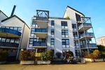 Bezugsfreie, barrierearme und frisch renovierte 2 Zimmer ETW mit Terrasse, Aufzug und TG-Stellplatz. - Etagenwohnung Sankt Augustin | Angebot:25378148