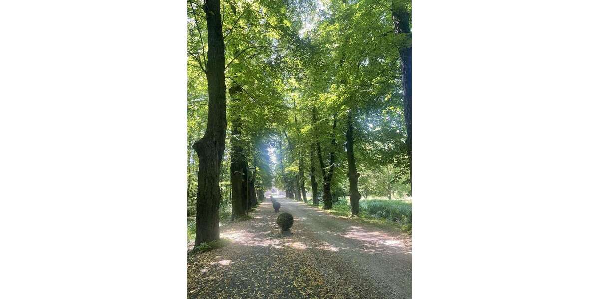 Etagenwohnung Bergheim Ahe - 2 Zimmer, 60 m&sup2;, 209.000&euro; | Angebot:24529832