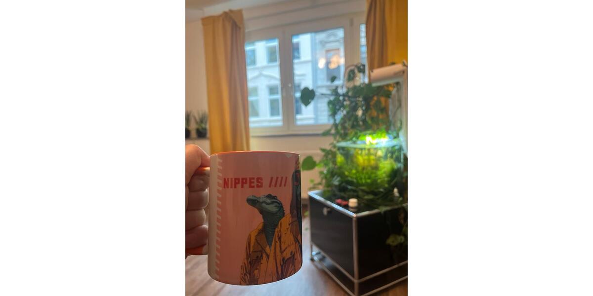 Etagenwohnung Köln Nippes - 2.5 Zimmer, 58 m&sup2;, 1.000&euro; | Angebot:26003659