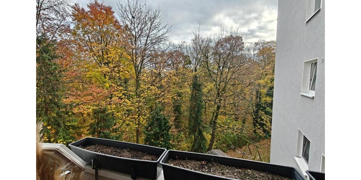 Etagenwohnung Köln Nippes - 4 Zimmer, 90 m&sup2;, 390.000&euro; | Angebot:24258419