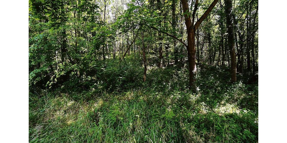 Gewerbeobjekt Bonn Küdinghoven - 600&euro; | Angebot:25976870