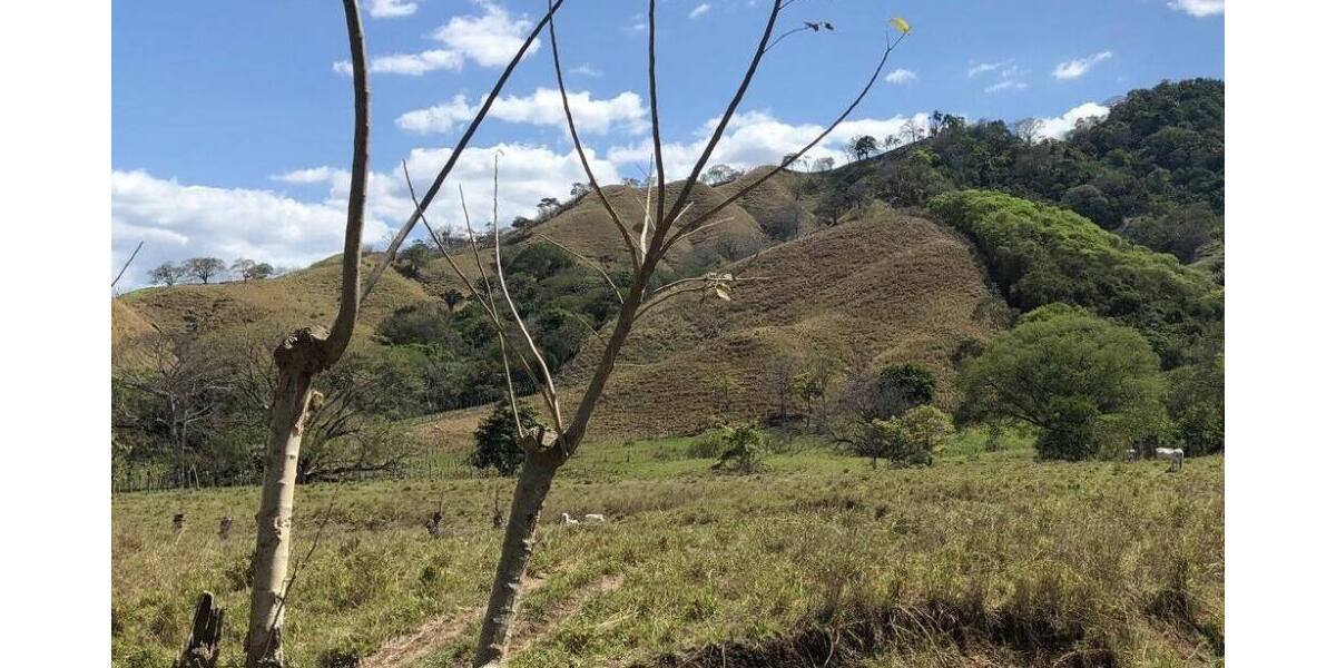 Grundstück in Costa Rica in einer der blauen Zonen der Erde - Grundstück Köln | Angebot:6421931