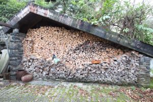 Hier wohnt die Gemütlichkeit ! - Einfamilienhaus Bonn - Oberkassel Oberkassel | Angebot:24819986