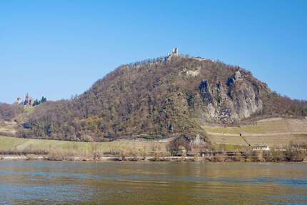 Haus Bonn Lannesdorf - 6 Zimmer, 228 m&sup2;, 1.820.000&euro; | Angebot:25927841