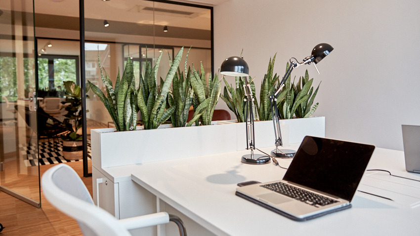 Gewerbeobjekt Köln Neustadt-Nord - 2.600&euro; | Angebot:25900323