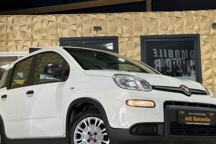 Fiat Panda 9.314 km 10.990 &euro; Wirges 56422