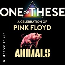 One of These Pink Floyd Tribute Live - a celebration of Pink Floyd Animals 24.04.2026 Gaststätte Norhausen