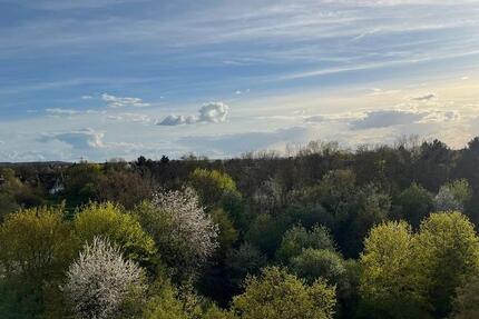 Wohnung Sankt Augustin - 3 Zimmer, 80 m&sup2;, 217.000&euro; | Angebot:23424002