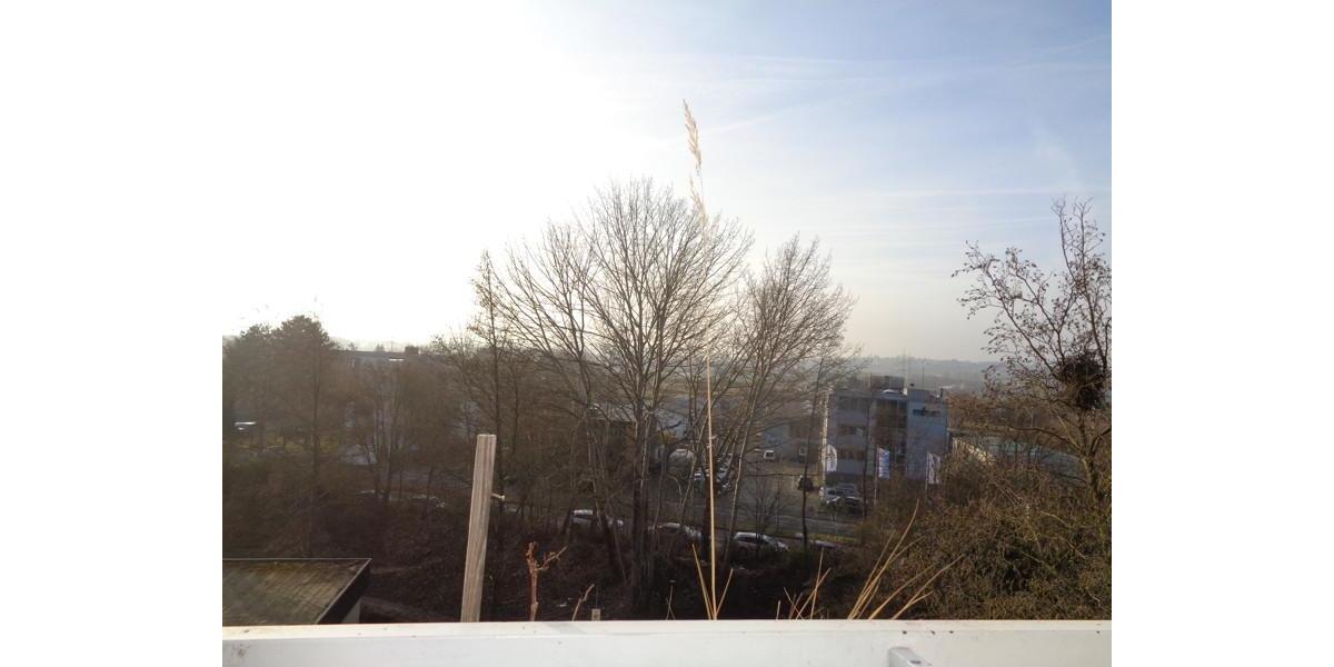 Etagenwohnung Bonn Tannenbusch - 4 Zimmer, 95 m&sup2;, 1.058&euro; | Angebot:22199124