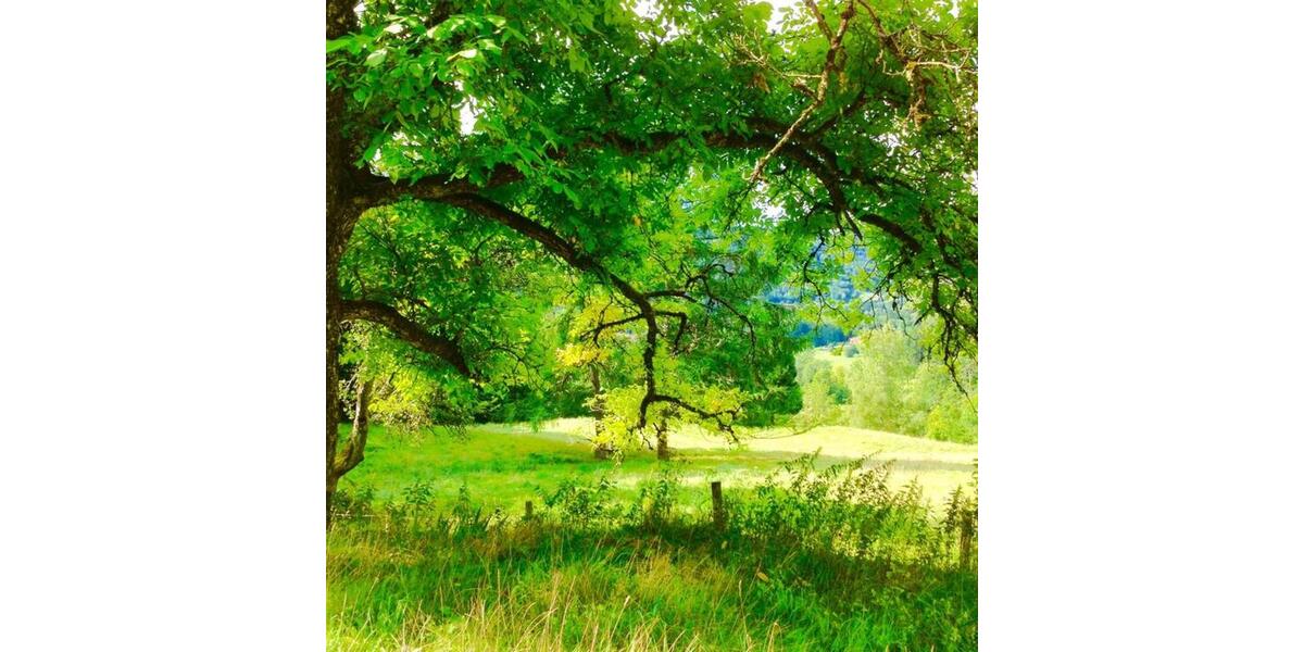 Bauernhaus, Landhaus Bonn Gielgen - 5 Zimmer, 170 m&sup2;, 200.000&euro; | Angebot:25959786