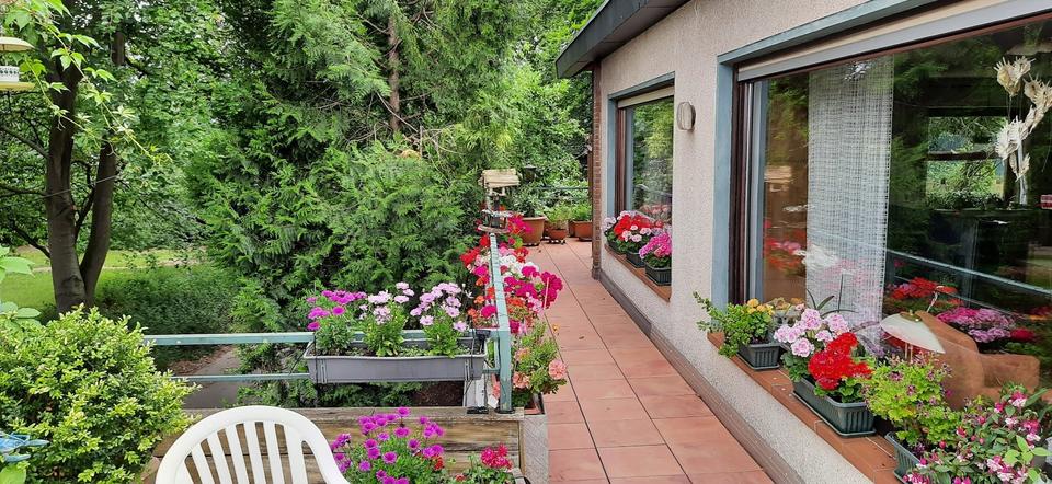 Einfamilienhaus Troisdorf Altenrath - 6 Zimmer, 155 m&sup2;, 579.000&euro; | Angebot:26511721
