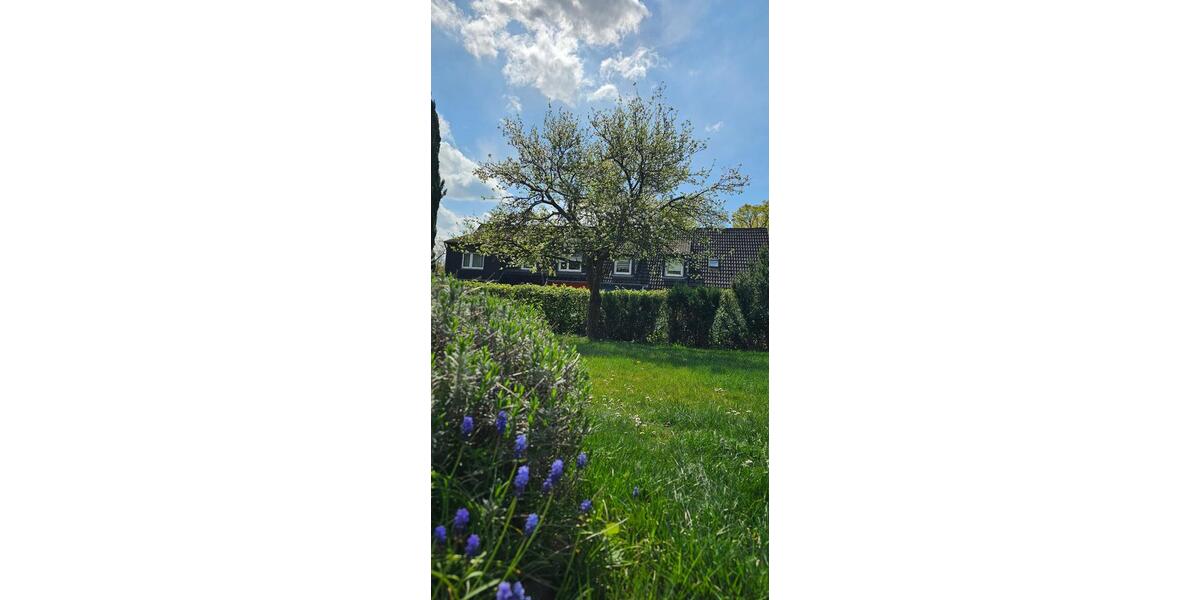 Etagenwohnung Siegburg - 4 Zimmer, 120 m&sup2;, 2.521&euro; | Angebot:25057403