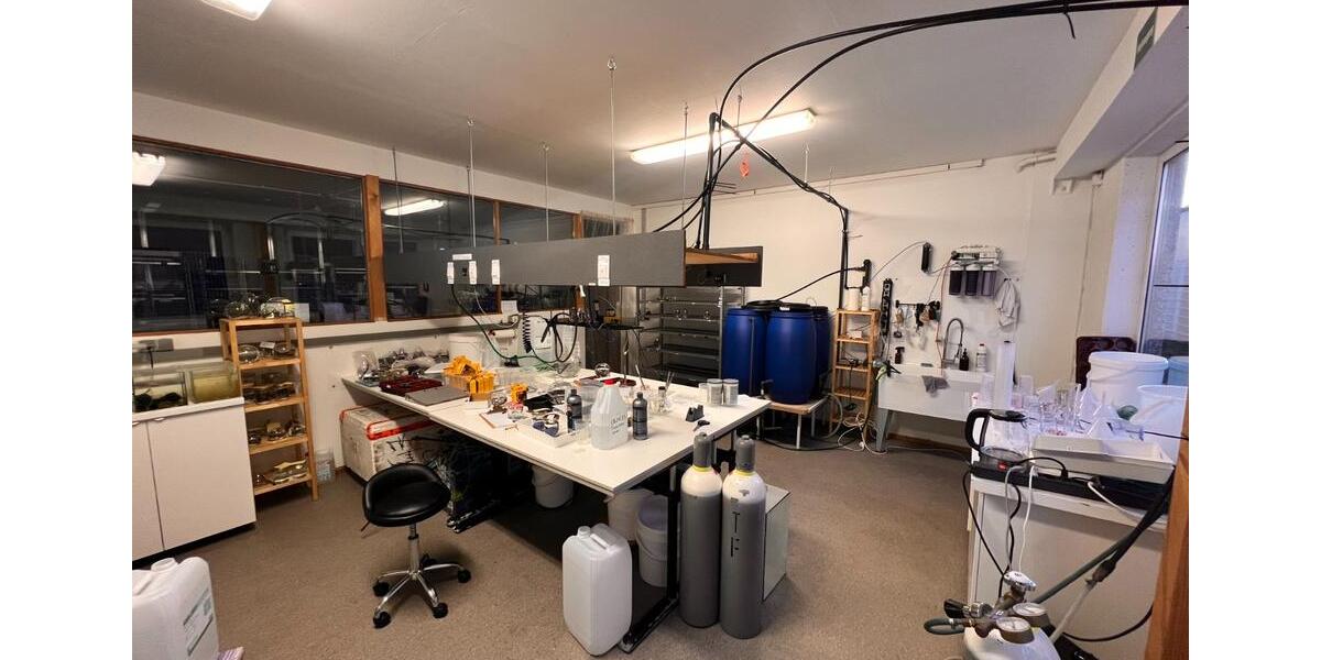 Gewerbeobjekt Rheinbach - 2.692&euro; | Angebot:24222206