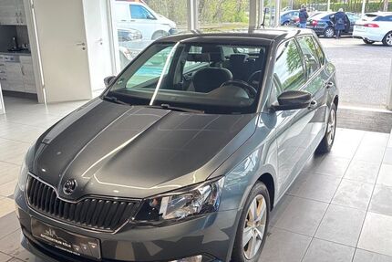 Skoda Fabia 89.900 km 8.950 &euro; Köln 51103