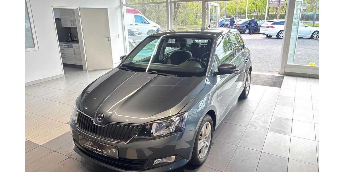 Skoda Fabia 89.900 km 8.950 &euro; Köln 51103