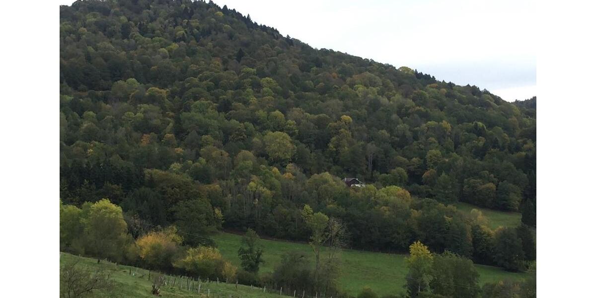 Bauernhaus, Landhaus Bonn Gielgen - 5 Zimmer, 170 m&sup2;, 200.000&euro; | Angebot:25959786