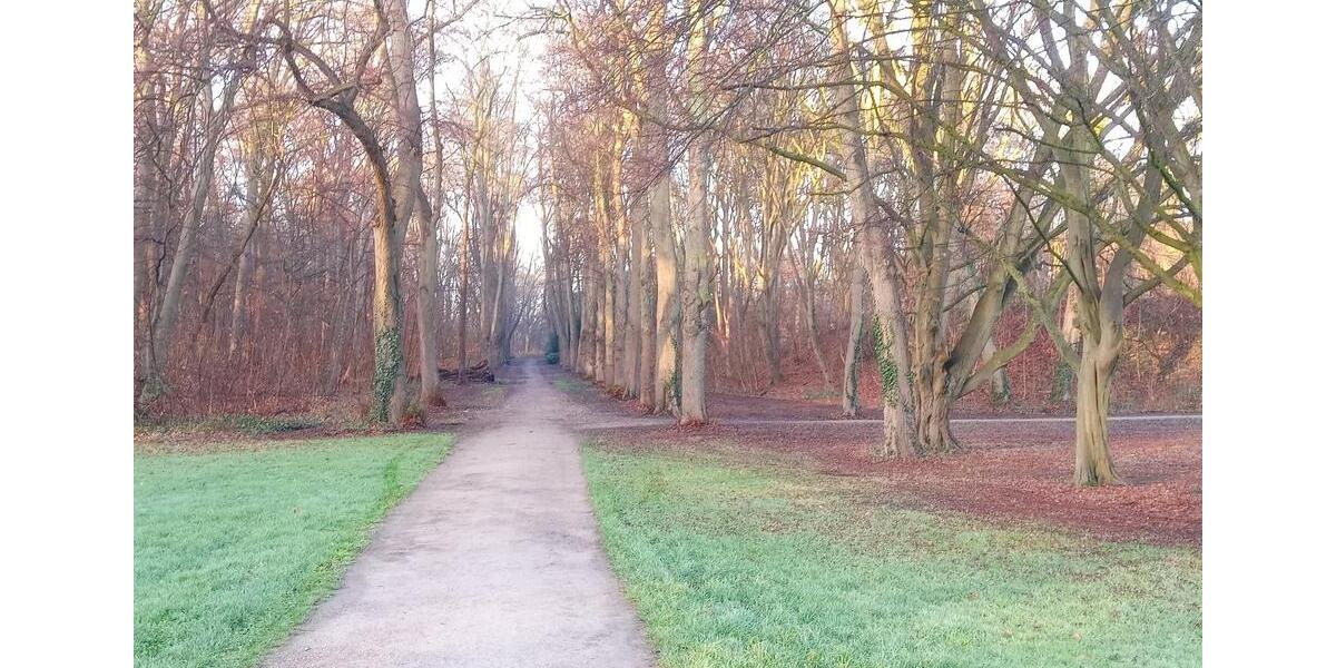 Etagenwohnung Köln Rodenkirchen - 3 Zimmer, 68 m&sup2;, 388.000&euro; | Angebot:24525341