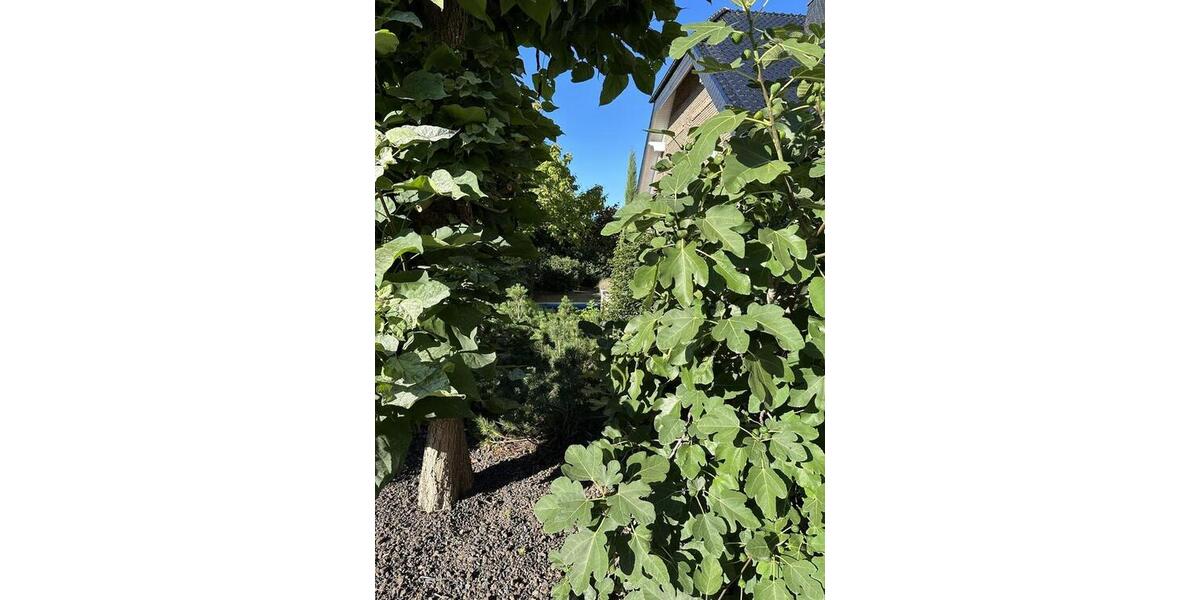 Gewerbeobjekt Euskirchen Dom-Esch - 623&euro; | Angebot:26010284