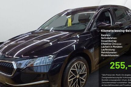 Skoda Octavia 19.006 km 28.990 &euro; Pulheim-Brauweiler 50259