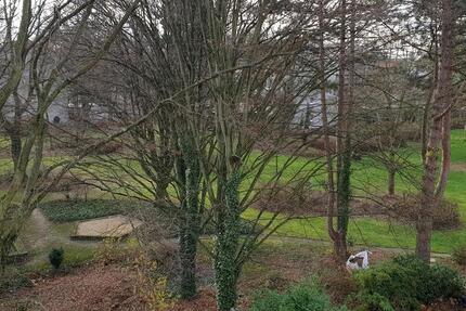 Wohnung Bonn Dransdorf - 3 Zimmer, 1.100&euro; | Angebot:24138672