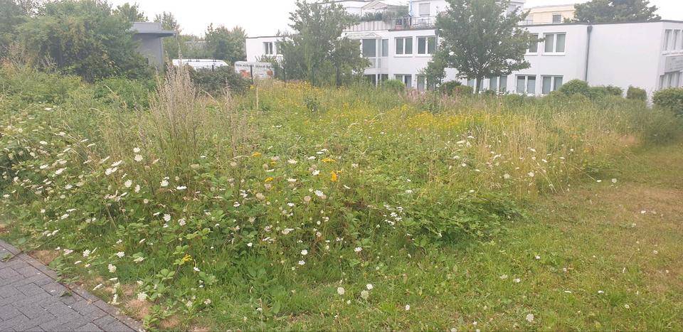 Gewerbeobjekt Bonn Bad Godesberg - 1.500&euro; | Angebot:19751720