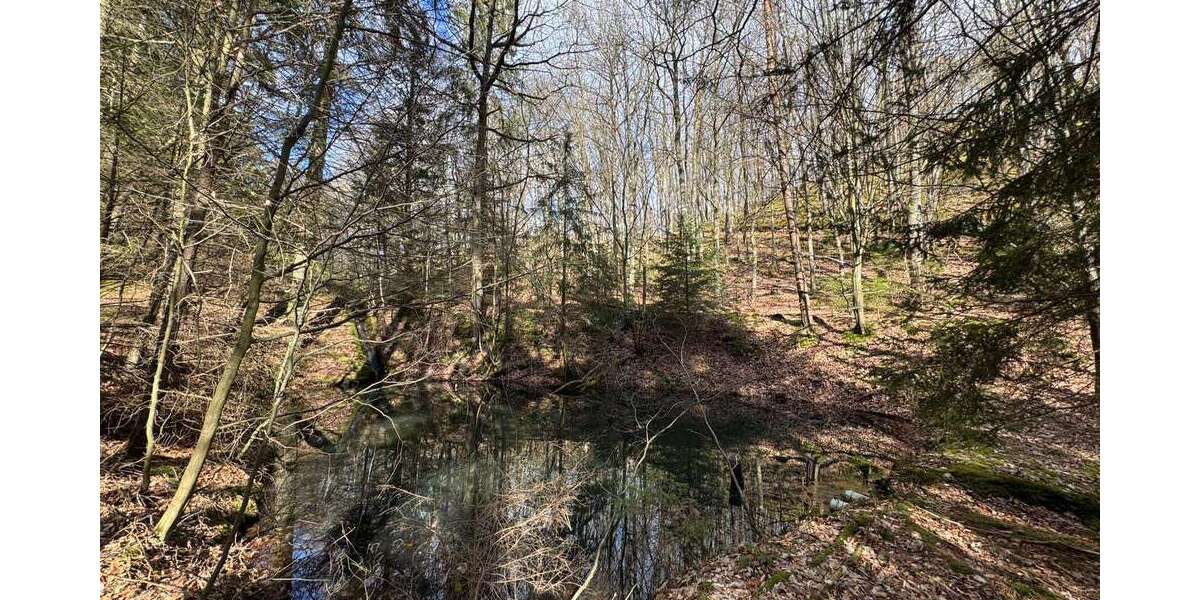 Grundstück Bad Münstereifel - 135.000&euro; | Angebot:25869577