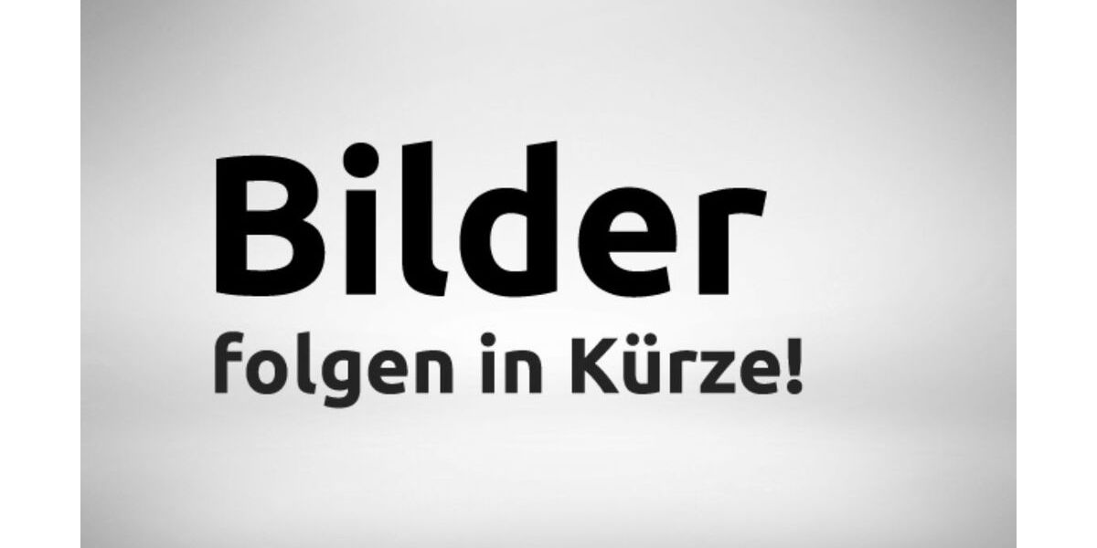 Seat Ibiza 140.000 km 6.490 &euro; Euskirchen 53881