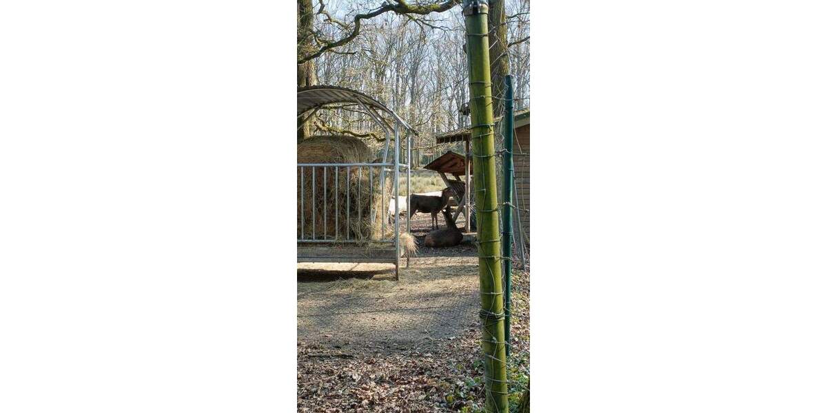 Etagenwohnung Troisdorf Troisdorf-Mitte - 4 Zimmer, 83 m&sup2;, 236.000&euro; | Angebot:25657337