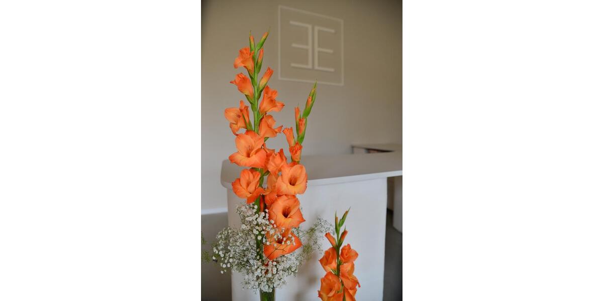 Gewerbeobjekt Euskirchen - 80&euro; | Angebot:24524466