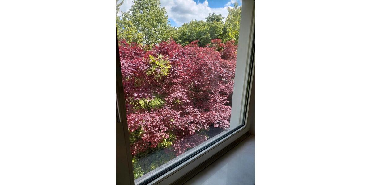 Bungalow Bonn Hardtberg - 5 Zimmer, 110 m&sup2;, 2.500&euro; | Angebot:26591880