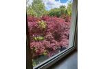 Bungalow Bonn Hardtberg - 5 Zimmer, 110 m&sup2;, 2.500&euro; | Angebot:26591880