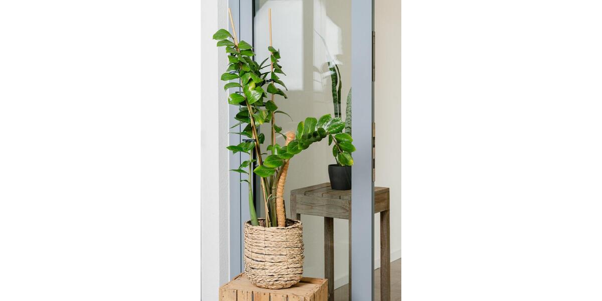 Gewerbeobjekt Köln Ehrenfeld - 1.100&euro; | Angebot:26044762