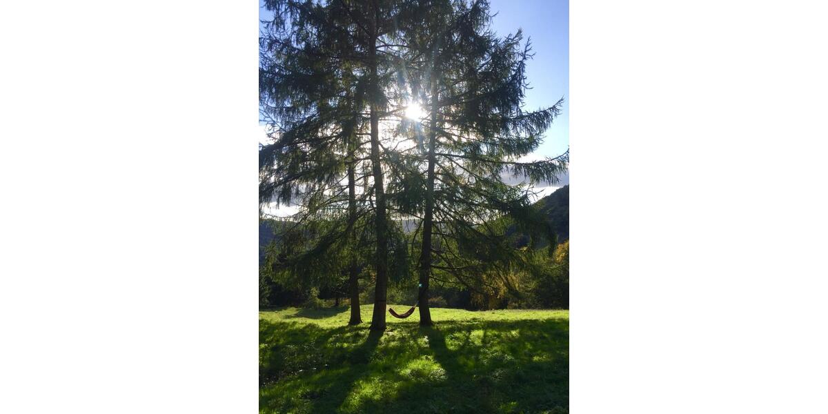 Bauernhaus, Landhaus Bonn Gielgen - 5 Zimmer, 170 m&sup2;, 200.000&euro; | Angebot:25959786