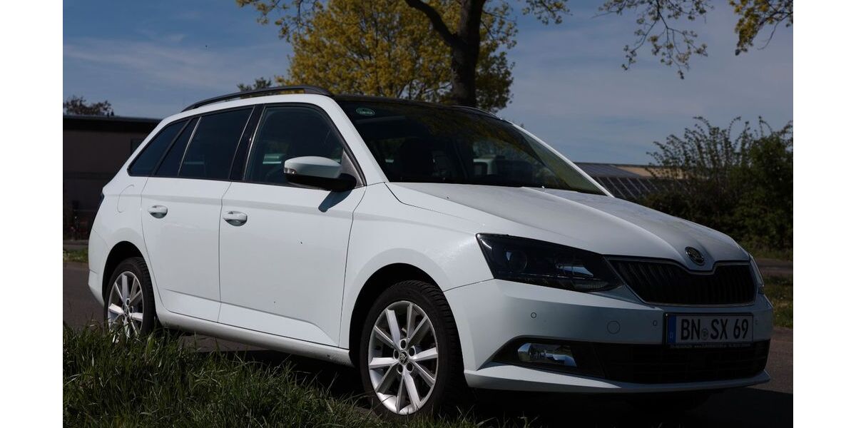 Skoda Fabia 134.000 km 9.900 &euro; Bonn 53121