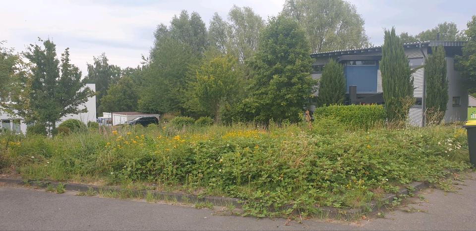 Gewerbeobjekt Bonn Bad Godesberg - 2.500&euro; | Angebot:13342534