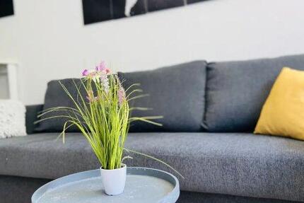 Wohnung Köln Rodenkirchen - 1 Zimmer, 22 m&sup2;, 650&euro; | Angebot:26238712