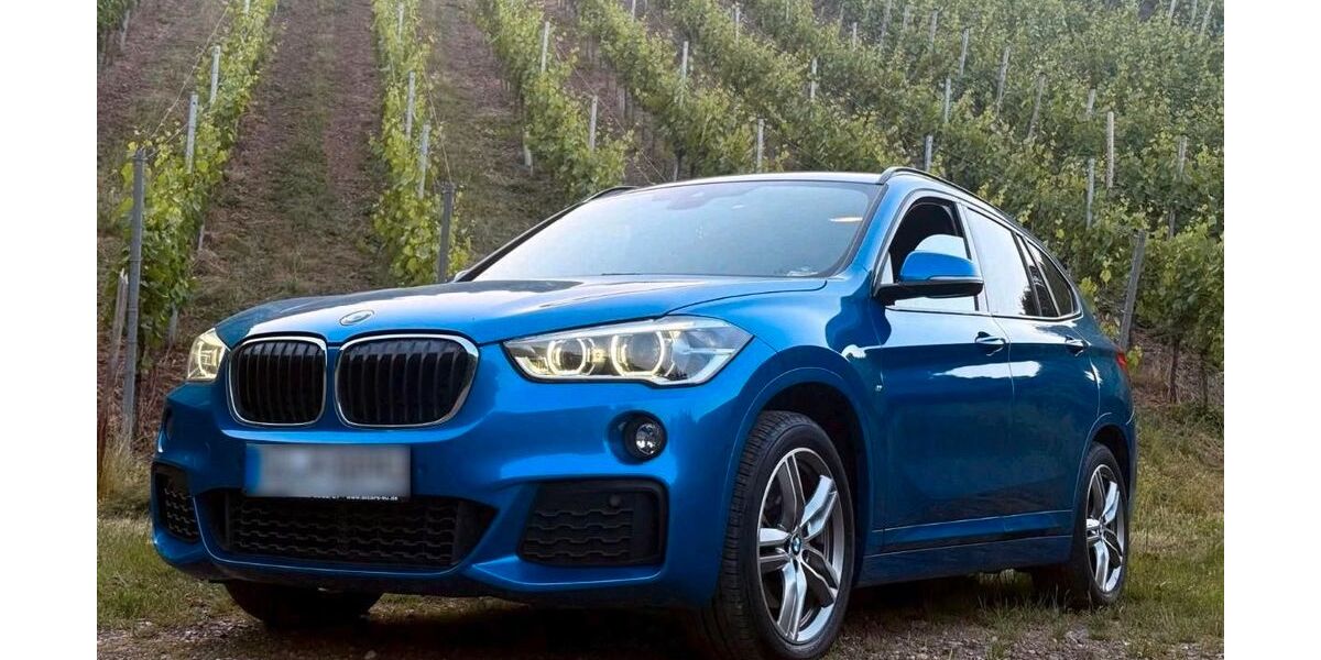 BMW X1 133.428 km 18.500 &euro; Rheinbach 53359