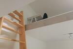 Etagenwohnung Bonn Poppelsdorf - 2 Zimmer, 42 m&sup2;, 770&euro; | Angebot:26579714