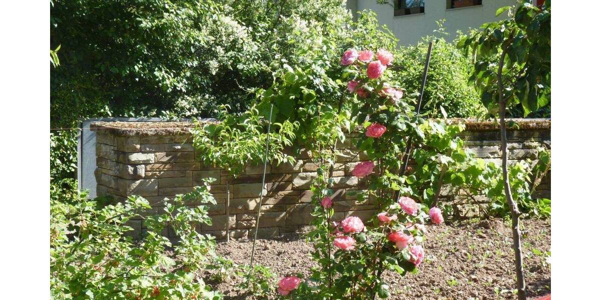 Grundstück Bonn Tannenbusch - 19.000&euro; | Angebot:26695233