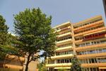 Etagenwohnung Bonn Dottendorf - 1 Zimmer, 37 m&sup2;, 169.000&euro; | Angebot:26687819