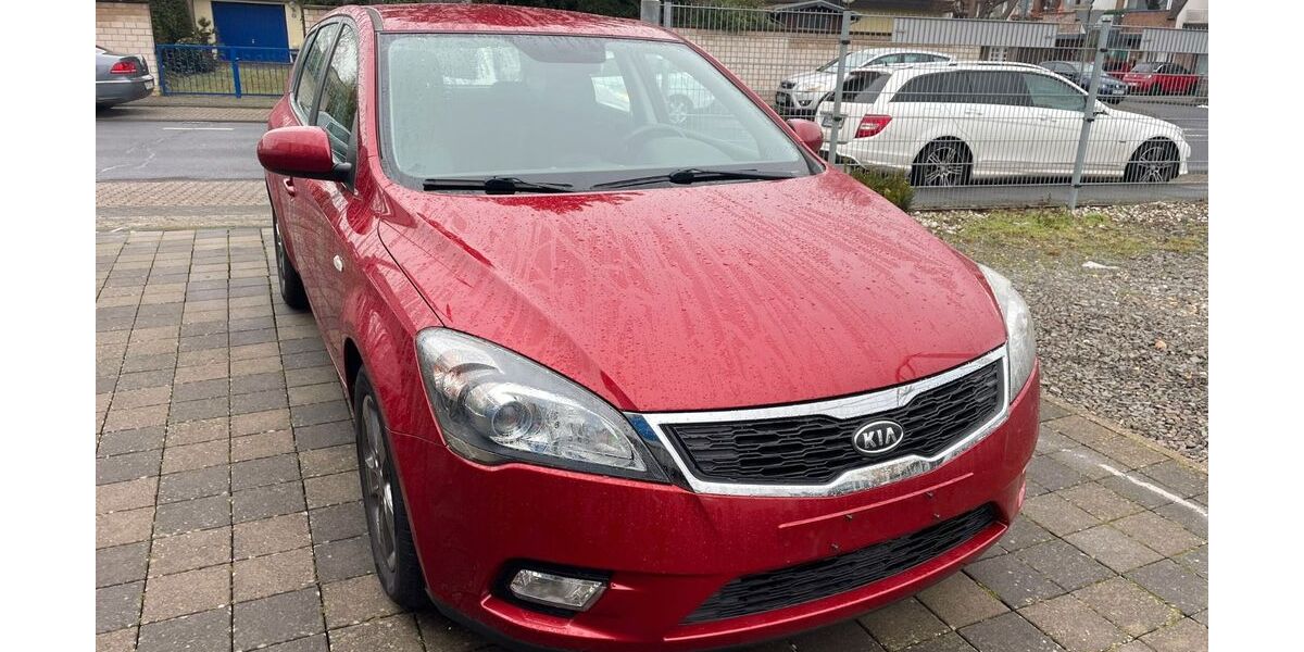 Kia ceed / Ceed 189.000 km 3.000 &euro; Zülpich 53909