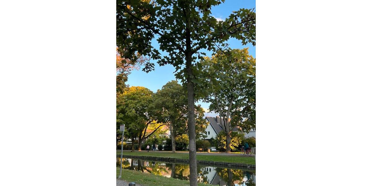 Dachgeschoßwohnung Köln Ehrenfeld - 2 Zimmer, 50 m&sup2;, 1.200&euro; | Angebot:26020353