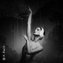 Grand Classic Ballet - Schwanensee - Jenseits der Bühne mit live Streichquartett 02.09.2026 Volksbühne am Rudolfplatz