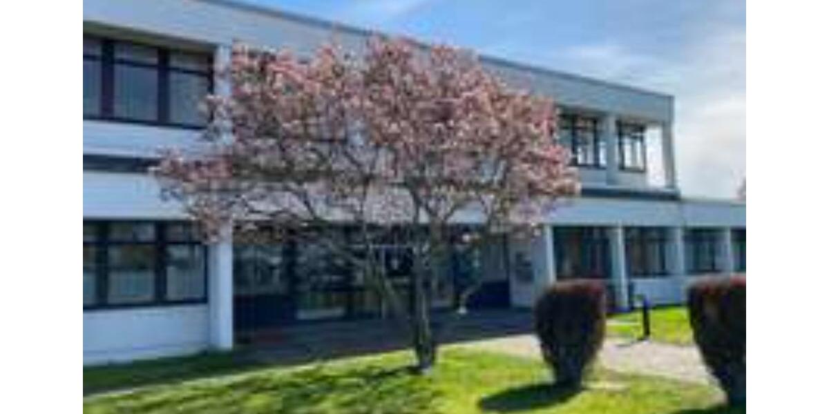 Gewerbeobjekt Kerpen Buir - 238&euro; | Angebot:20665126