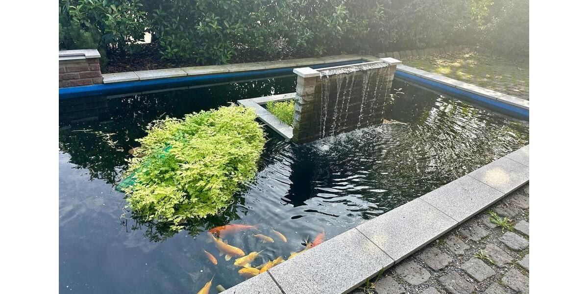 Gewerbeobjekt Euskirchen Dom-Esch - 623&euro; | Angebot:25599627