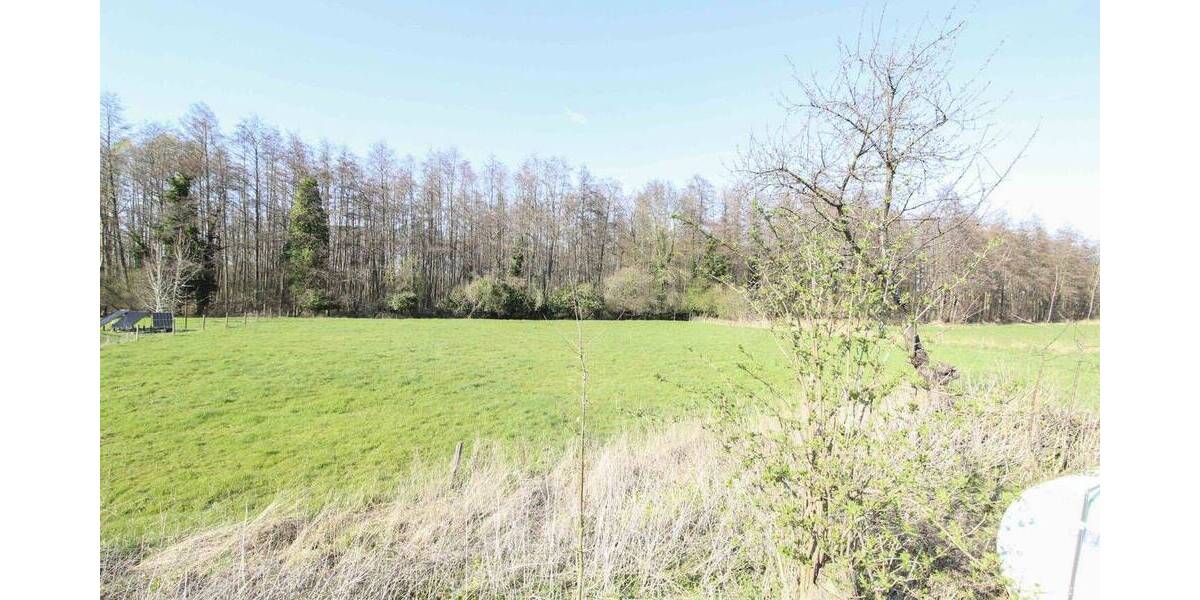 Einfamilienhaus Zülpich Juntersdorf - 4 Zimmer, 319.000&euro; | Angebot:26065364