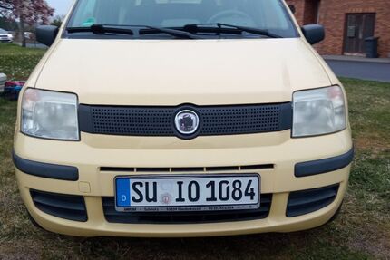 Fiat Panda 72.827 km 1.595 &euro; Alfter 53347
