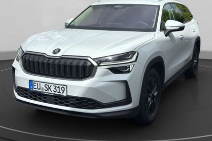 Skoda Kodiaq 18.350 km 41.490 &euro; Euskirchen 53879
