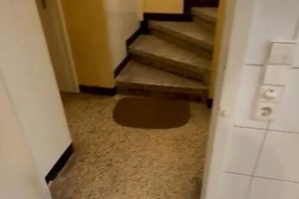 Gewerbeobjekt Köln Lindenthal - 470&euro; | Angebot:25317066