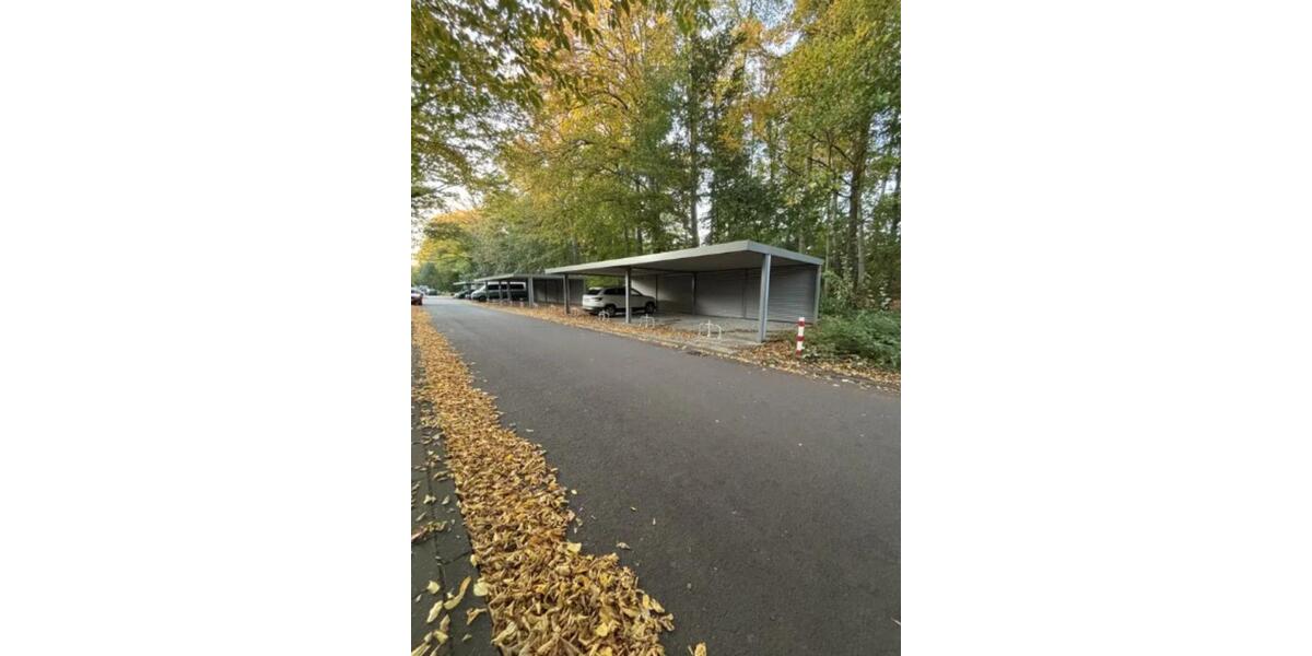 Etagenwohnung Köln Innenstadt - 1 Zimmer, 17 m&sup2;, 95&euro; | Angebot:25782623